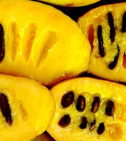 Open pawpaw halves with seeds.